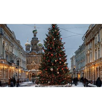 Новогодняя прогулка по Петербургу